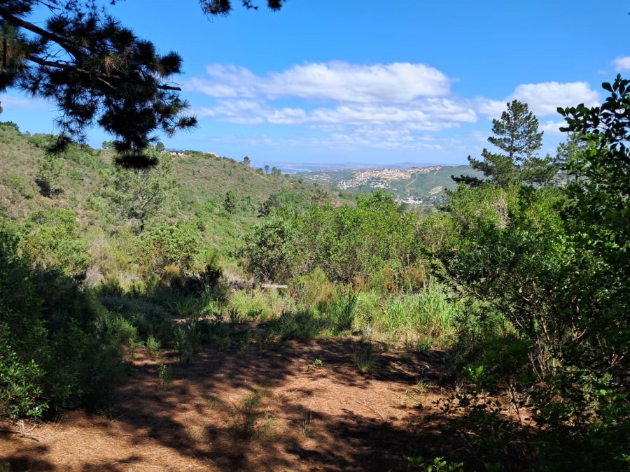 Commercial Property for Sale in Grootbrakhoogte Western Cape